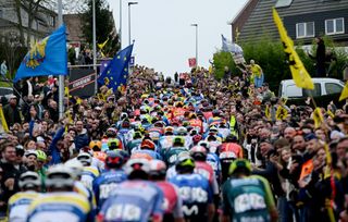 A general view of the peloton climbing to the Berendries hill while fans cheer during the 108th Ronde van Vlaanderen 