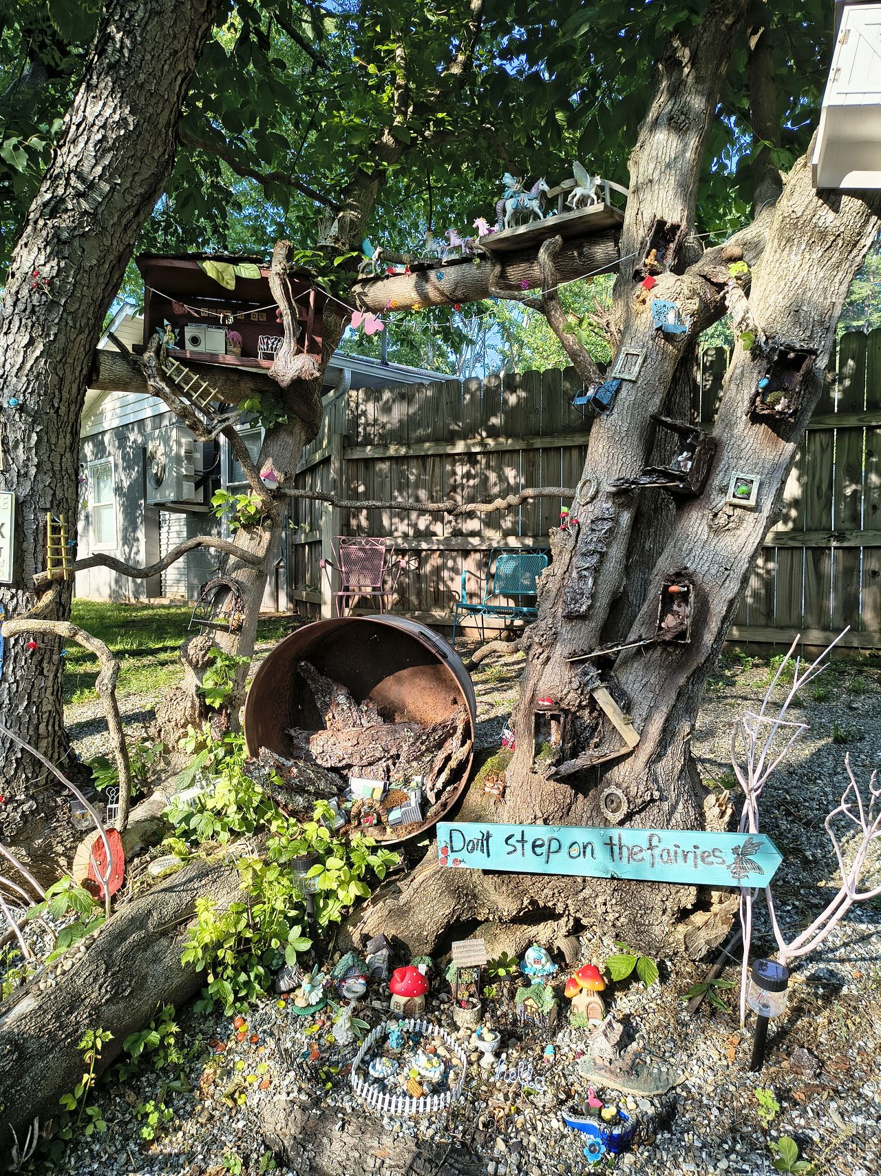 A camera sample from the Motorola Edge 2025