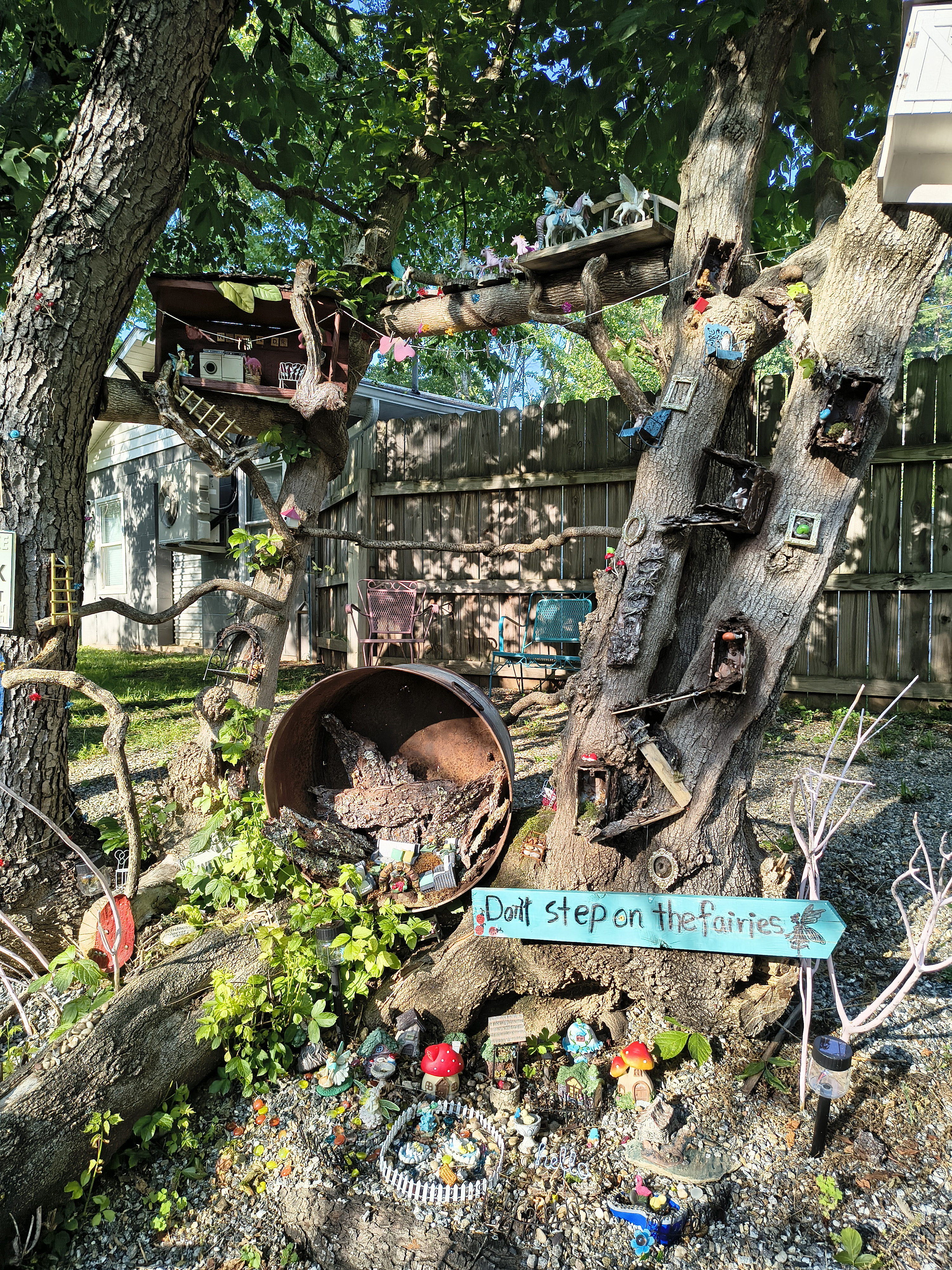 A camera sample from the Motorola Edge 2025