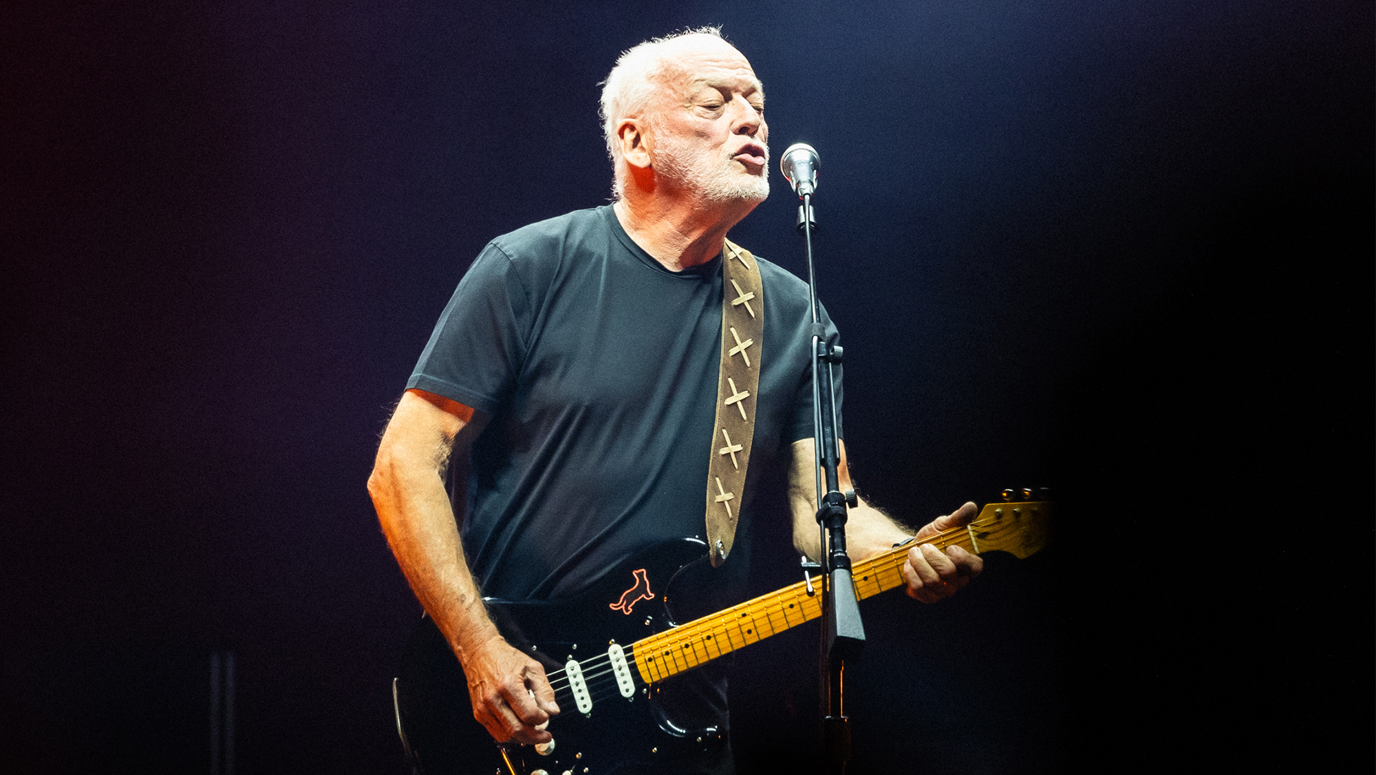 David Gilmour performs during the David Gilmour concert as part of the Luck and Strange tour at Madison Square Garden on November 04, 2024 in New York, New York.