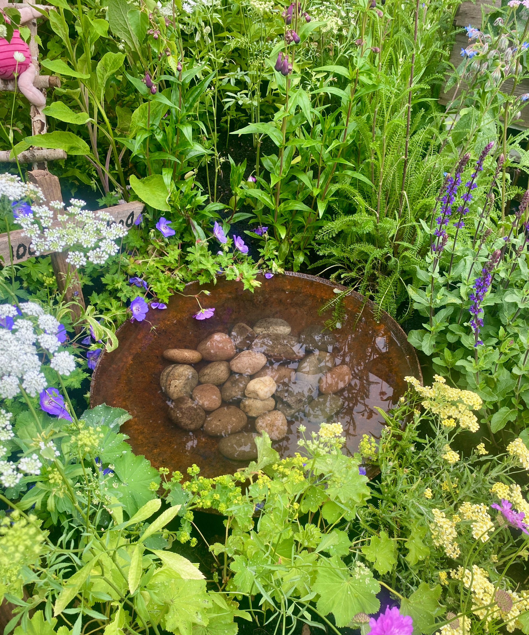 water bowl with pebbles in a border for wildlife