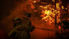 SYDNEY, AUSTRALIA - DECEMBER 19: Fire and Rescue personal use a hose as they try to extinguish a bushfire as it burns near homes on the outskirts of the town of Bilpin on December 19, 2019 in