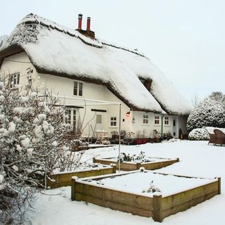 house tours charming christmassy cottage in hampshire exterior