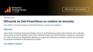 Document sur l'efficacit&eacute; des donn&eacute;es PowerStore