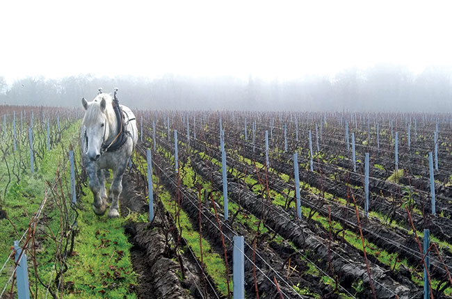 Champagne Chartogne Taillet