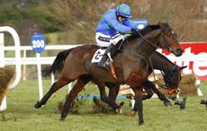 irish-champion-hurdle.jpg