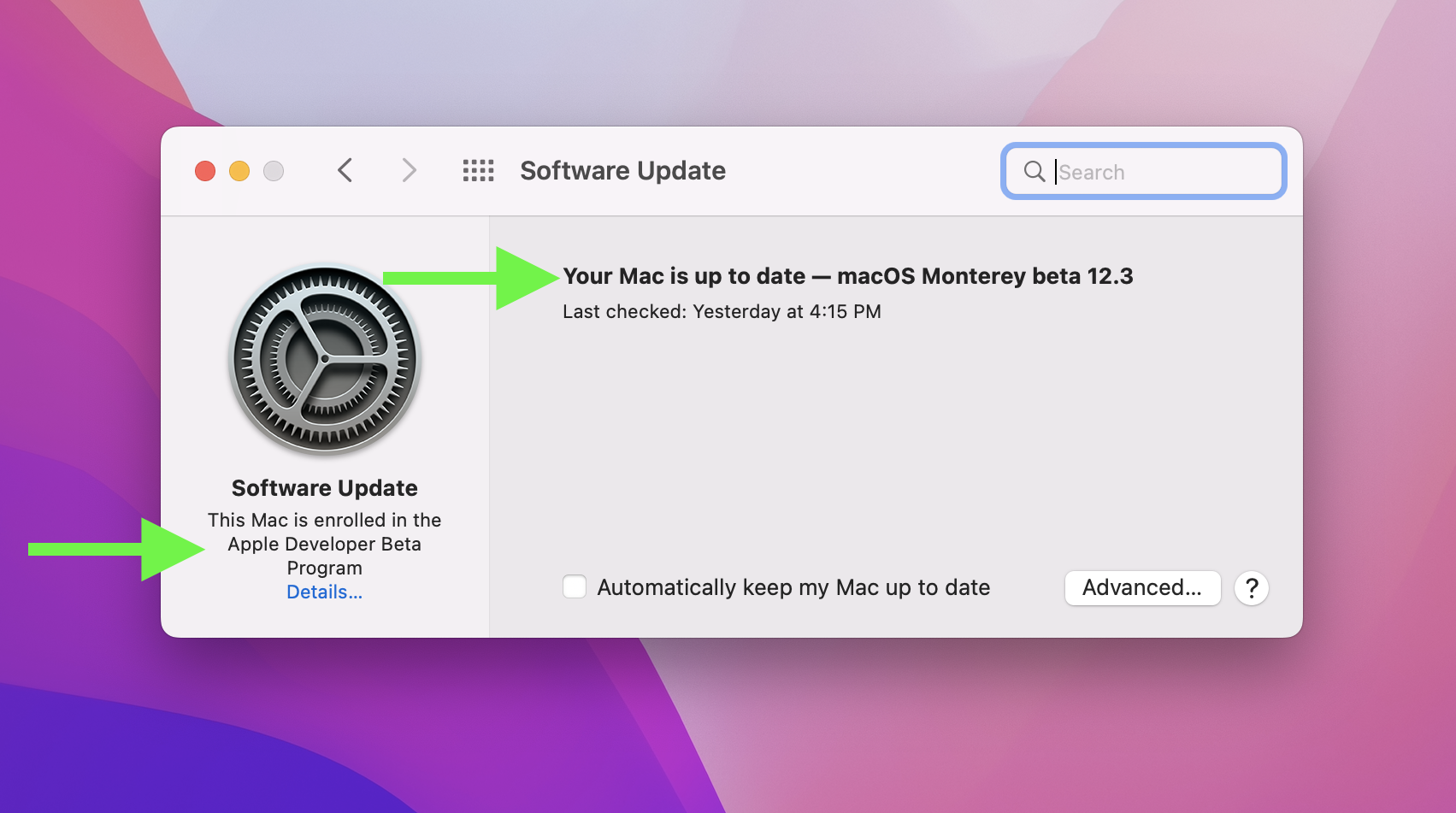 The System Preferences window with the Monterey release version and Developer Beta track highlighted