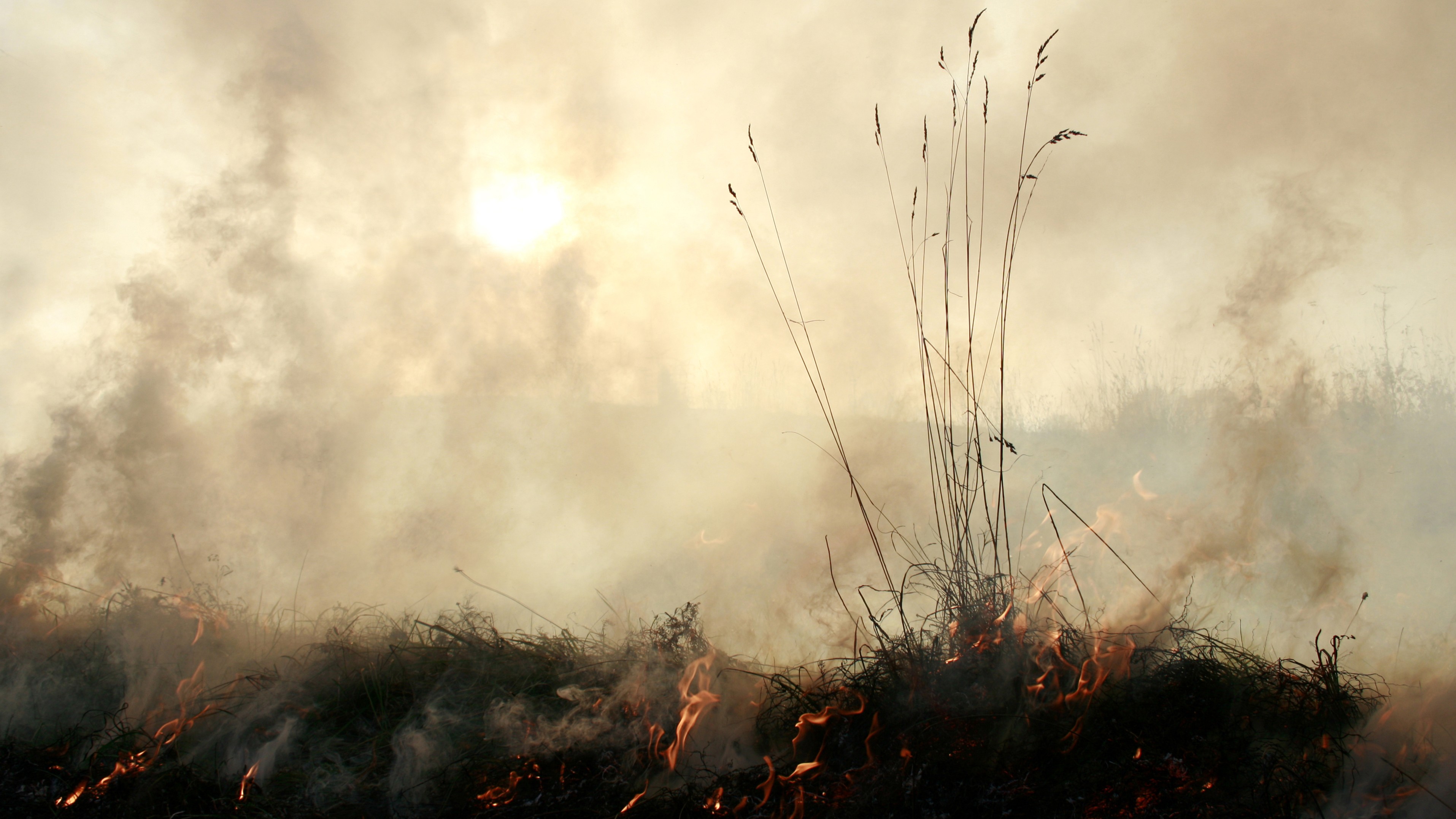 A photo of grass burning and a thick smoke obscuring the sun. 