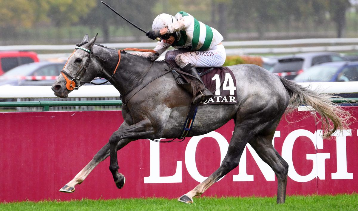 British jockey Luke Morris riding on &quot;Alpinista&quot; competes on his way to win last year&#039;s The Prix de l&#039;Arc de Triomphe horse race.