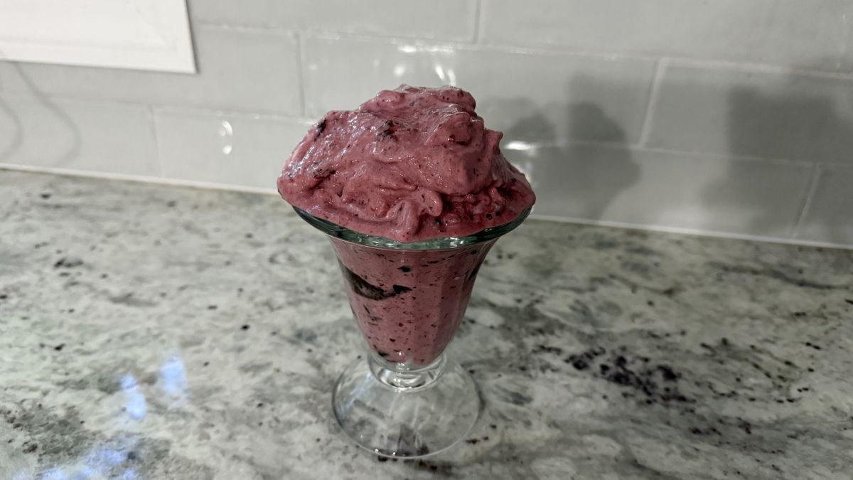 Ninja Power Duo Immersion Blender with Whisk making frozen yogurts