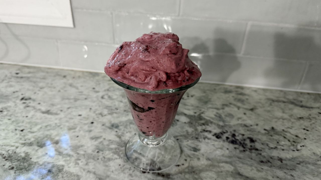Ninja Power Duo Immersion Blender with Whisk making frozen yogurts