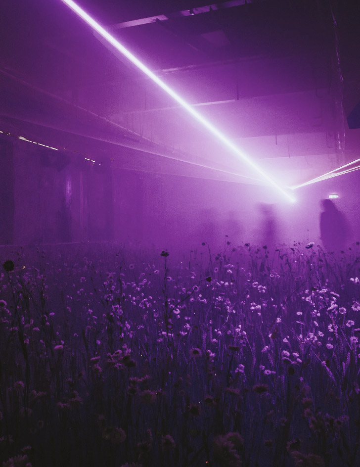 Fields of Dreams (Unity and Celebration) is a fantasy wild meadow created by floral artist Rebecca Louise Law