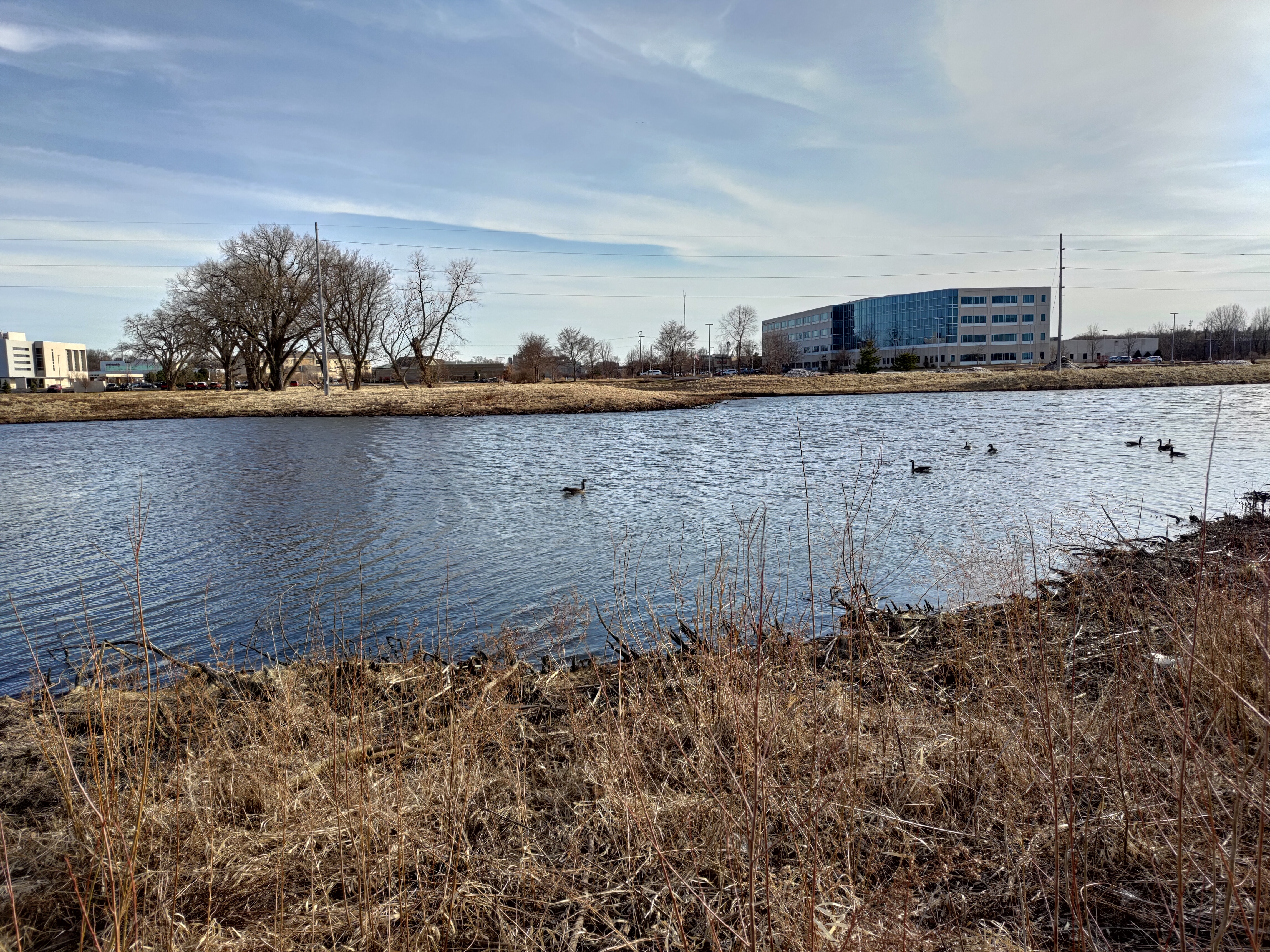 Asus ROG Phone 5 wide-angle camera sample