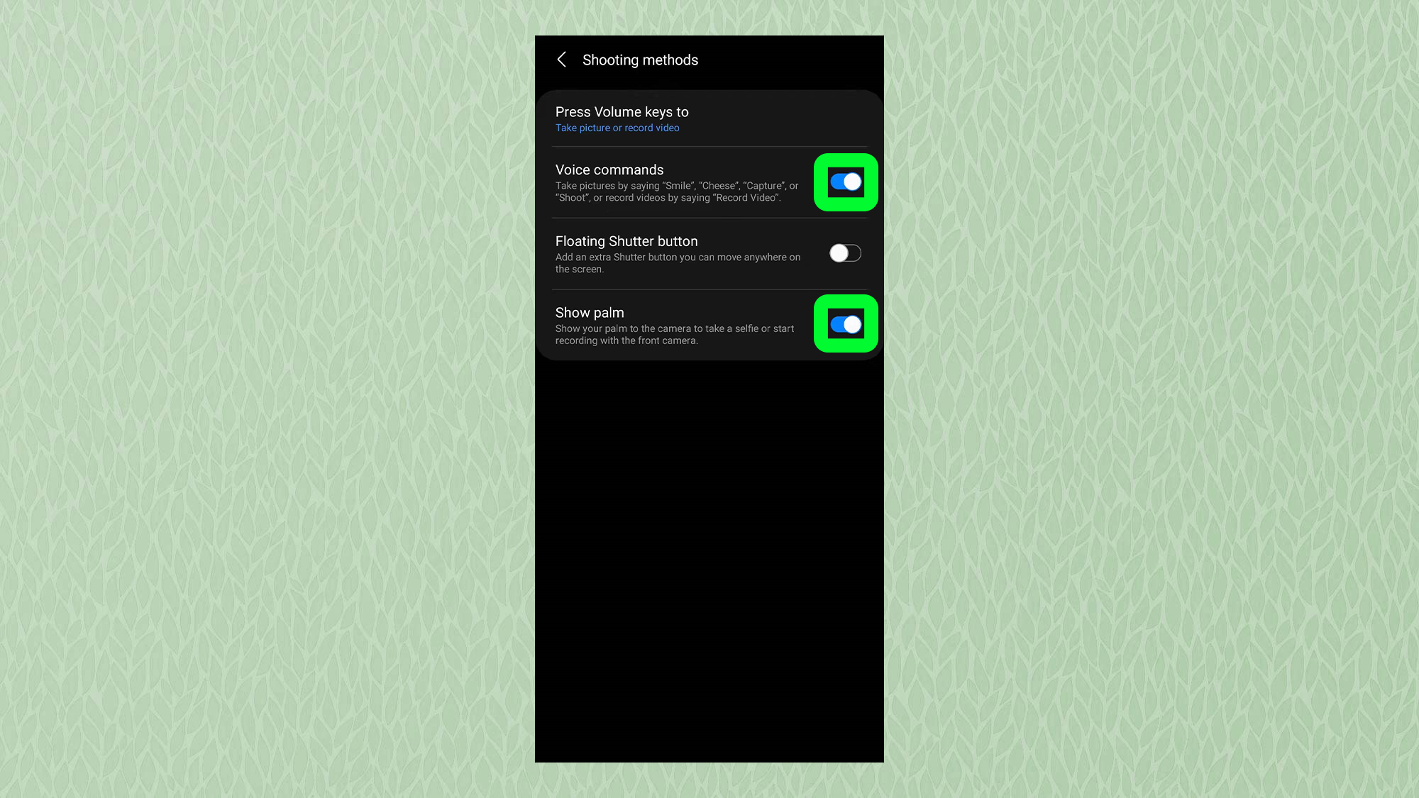 A screenshot from the Samsung camera app settings menu showing the Show Palm and Voice Commands options highlighted