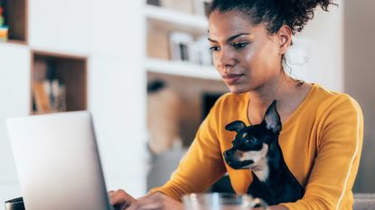 Photo of woman working at home with dog on her lap.