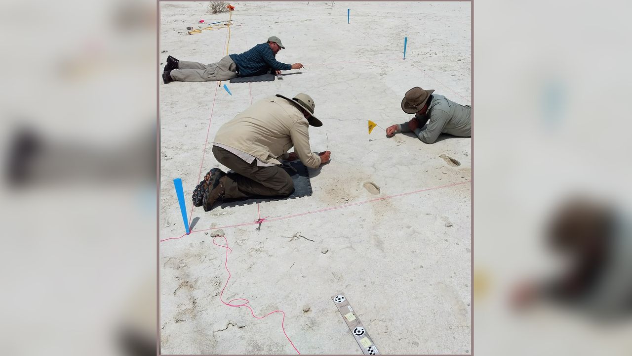 Researchers uncover the prints of a toddler amidst the tracks of an adult on the playa in New Mexico. The adults&rsquo; footprints are often asymmetrical on the outbound journey, suggesting that she or he was carrying the child on one hip for most of the trip. However, the toddler&rsquo;s footprints occasionally appear.