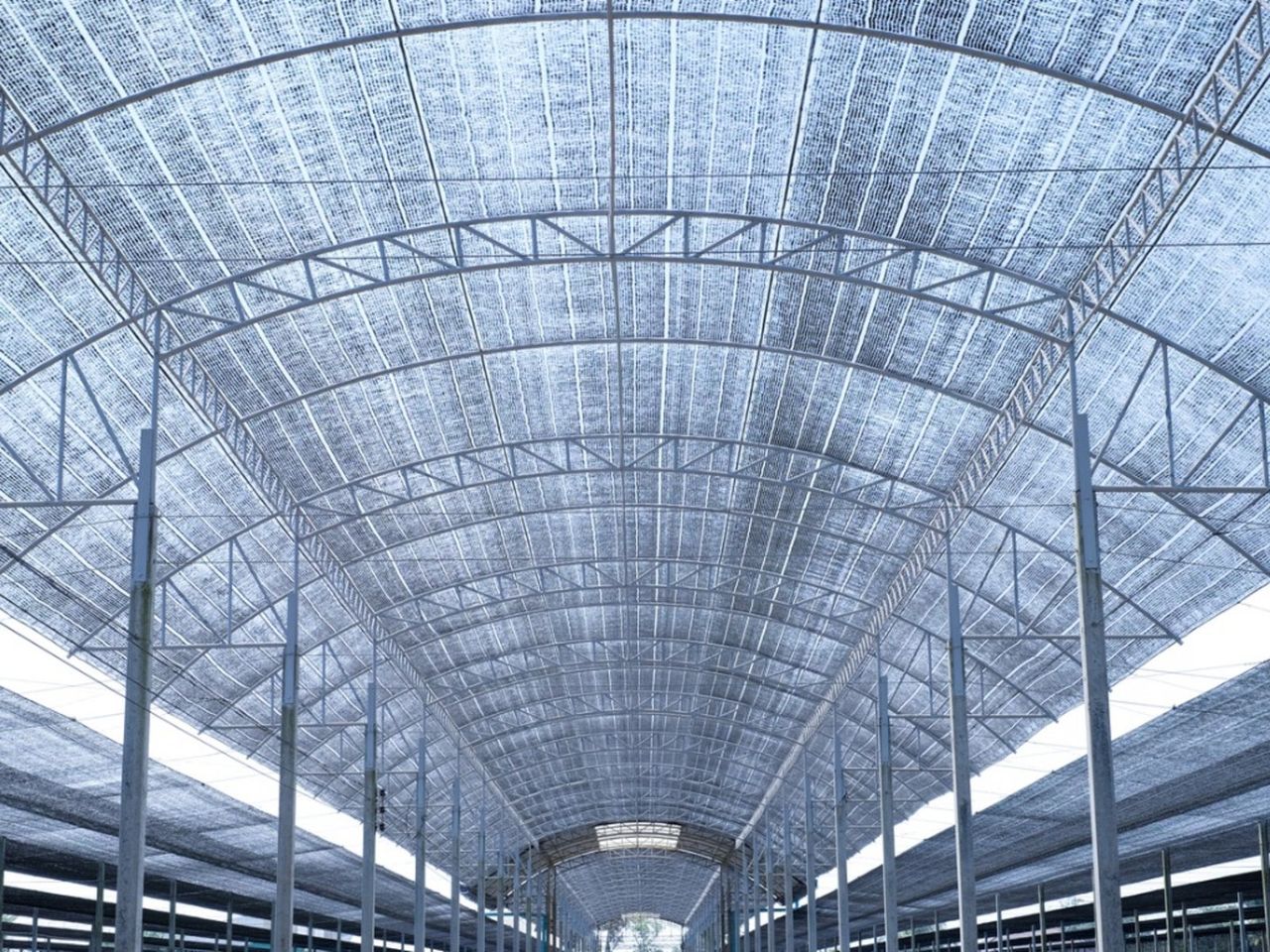 Shade Cloth Over Greenhouse Roof