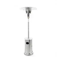 Master Forge 48000-BTU Stainless Steel Floorstanding Liquid Propane Patio Heater