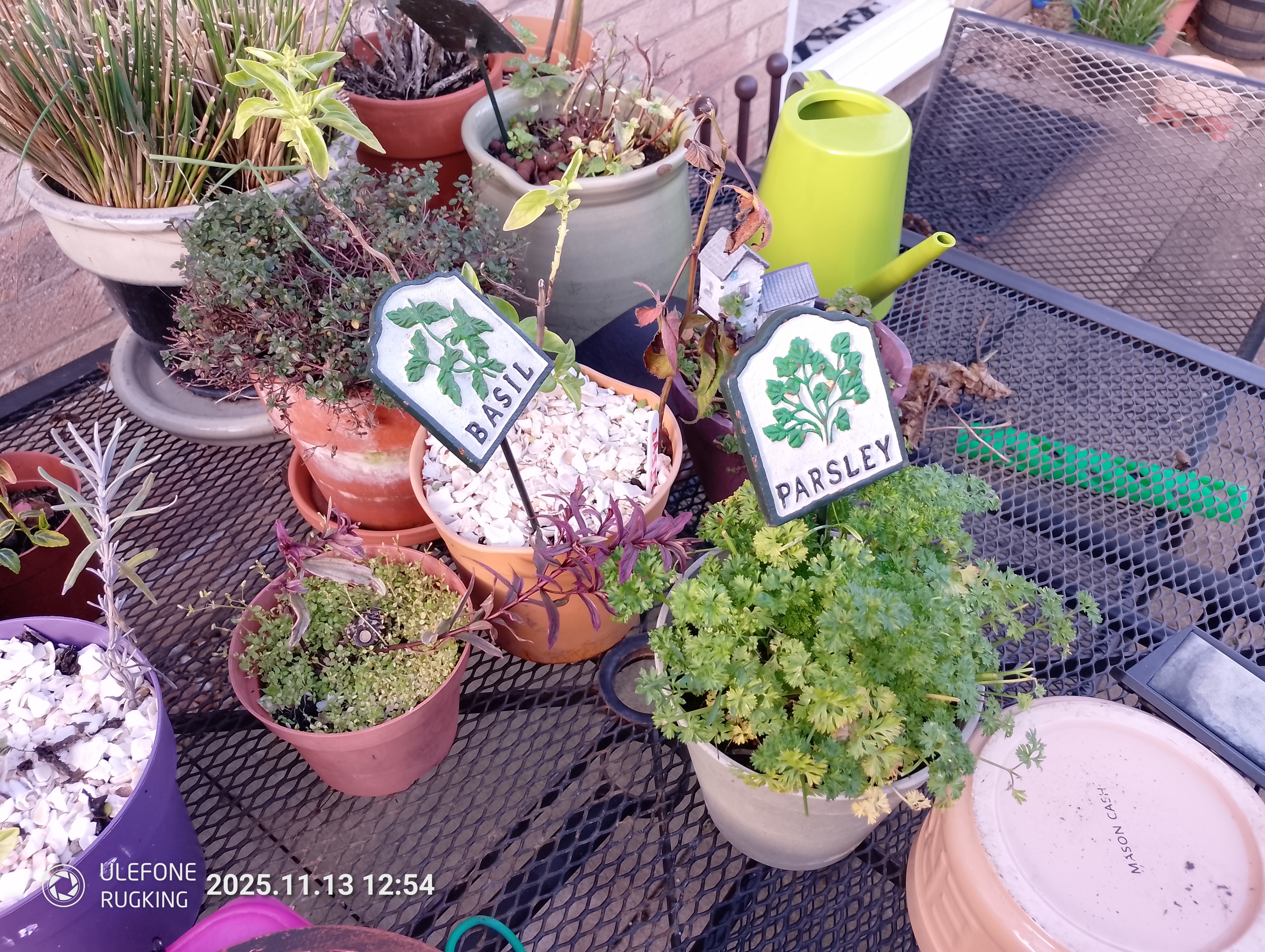 Ulefone Rugking camera examples