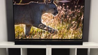 LG S70TY soundbar package on white unit below TV with big cat on screen