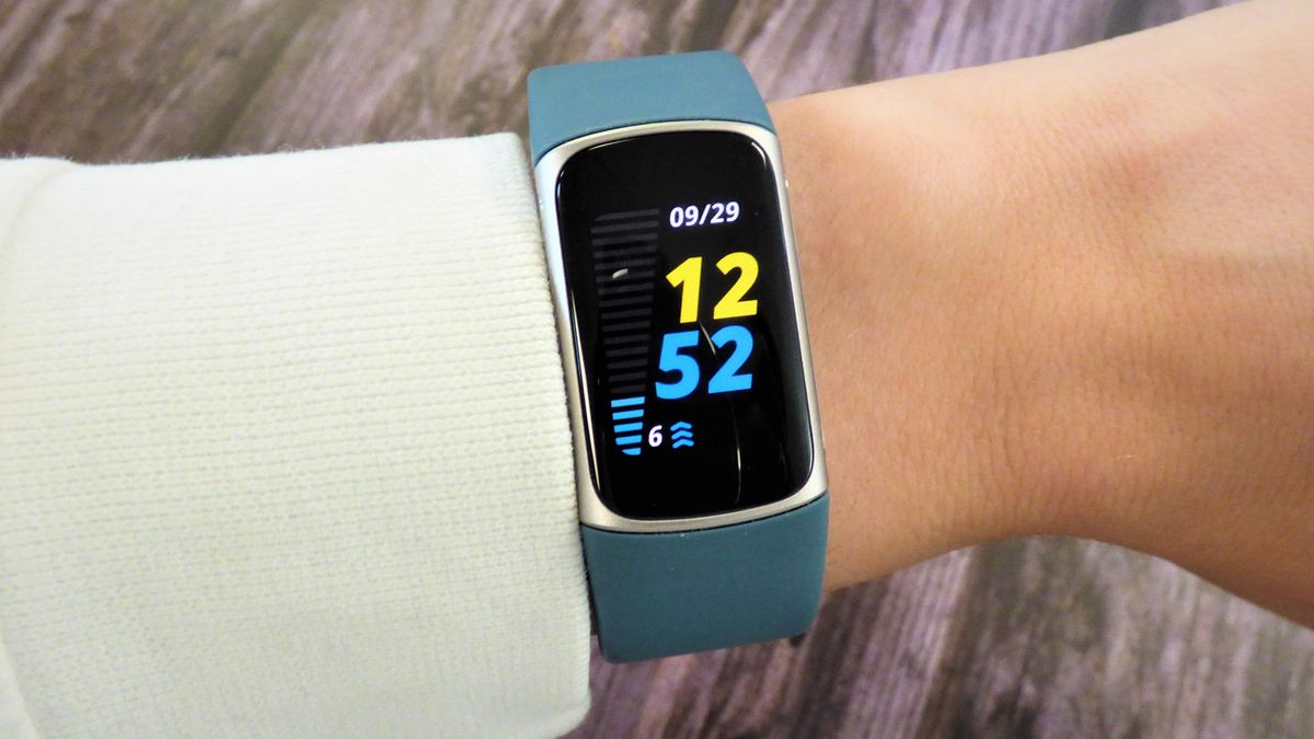 Fitbit update brings major new heart health feature to 9 devices – TechRadar