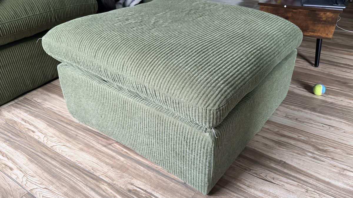 Cozey Ciello couch in lifestyle settings