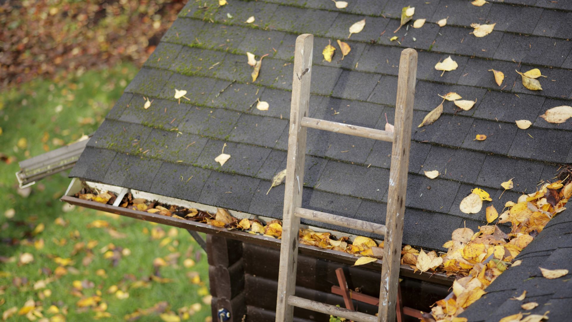 picture of ladder on house with gutter