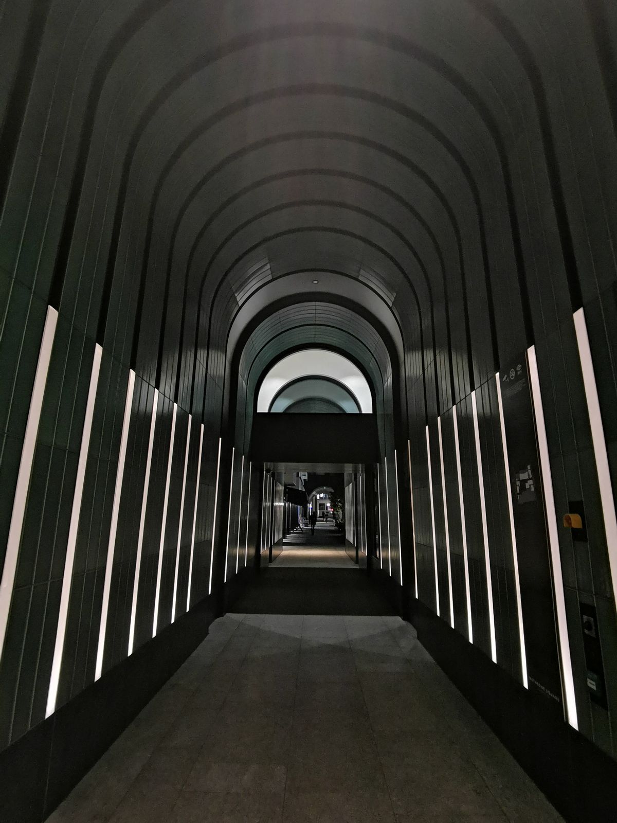 Ultra wide angle camera in portrait