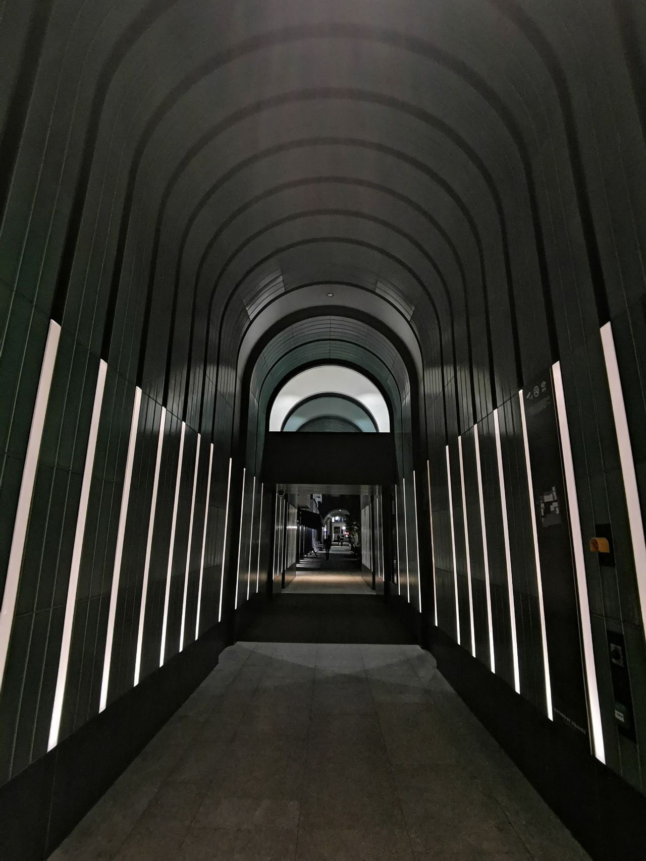 Ultra wide angle camera in portrait