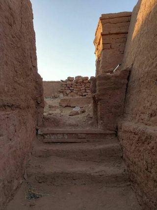 Five of the tombs were discovered very recently while eight others were found in the oasis within the last six excavation seasons.