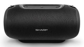 The GX-BT480 Bluetooth speaker. Credit: Sharp