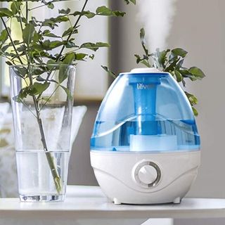 Levoit humidifier on a table next to a plant.