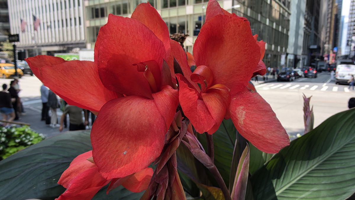 Google Pixel 11 Pro Fold photo showdown vs Samsung Galaxy Z Fold 8 Ultra