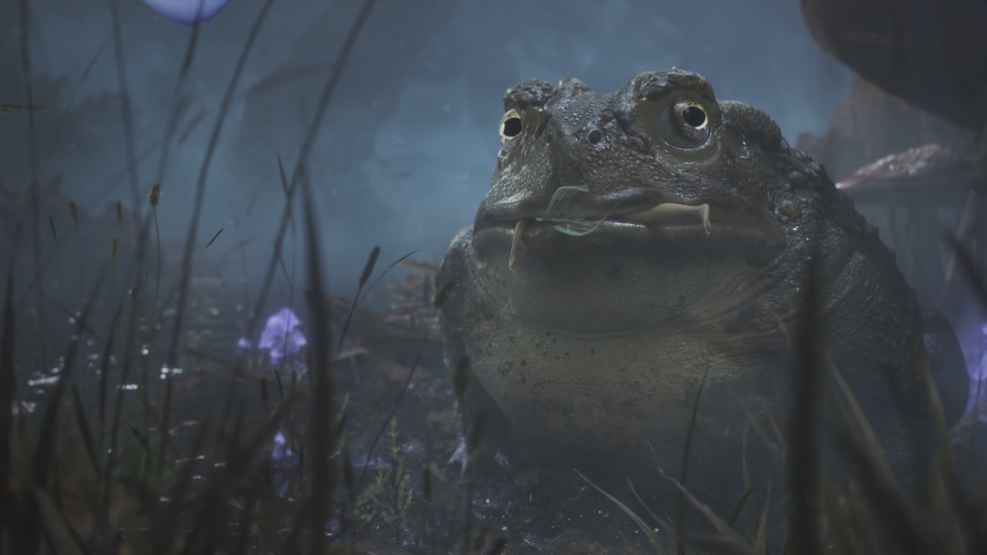 Une grenouille mange une princesse volante dans Fable