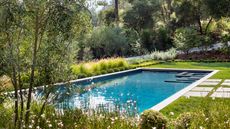 pool landscaping ideas: backyard pool surrounded by lawns and planting