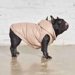 FOUND MY ANIMAL PUFFER COAT WITH REMOVABLE HOOD, BEIGE