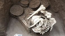 A picture of one of the human skeleton unearthed in Mexico City.