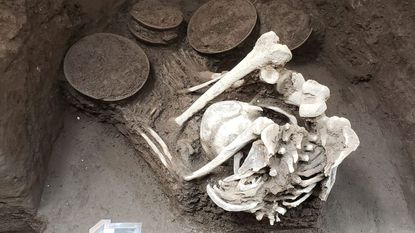 A picture of one of the human skeleton unearthed in Mexico City.