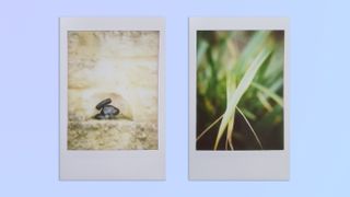 Photos taken on a Lomography Lomo'Instant Automat analog instant camera