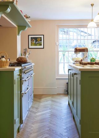 green galley kitchen with herringbone wooden flooring