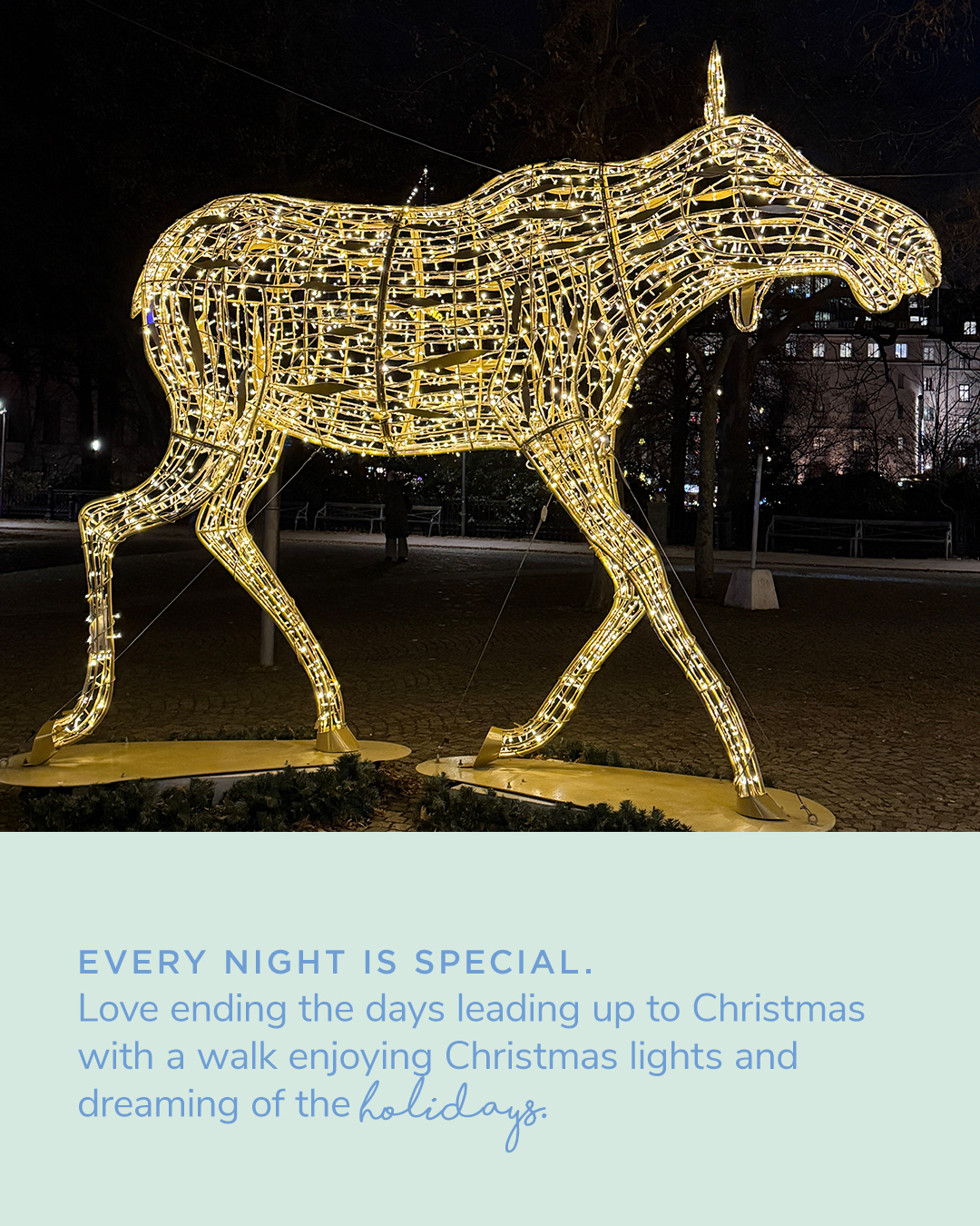 Princess Madeleine Christmas