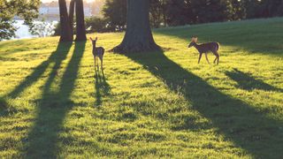 Landscape image at golden hour