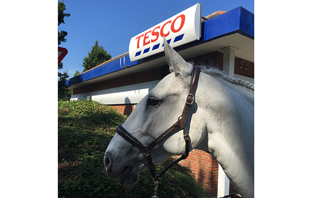 horse-tesco.jpg