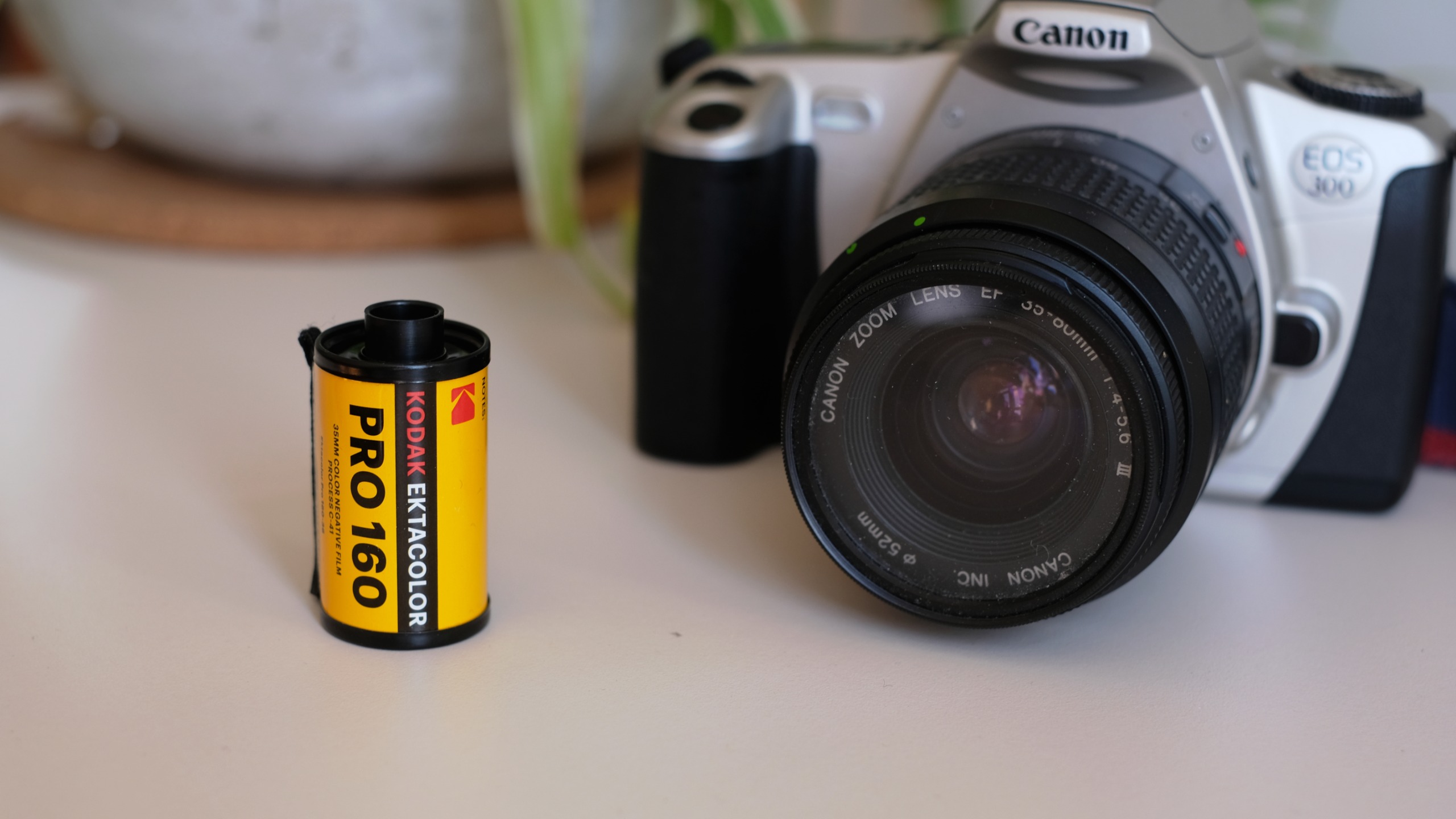 Photograph of Kodak Ektacolor Pro 160 35mm film