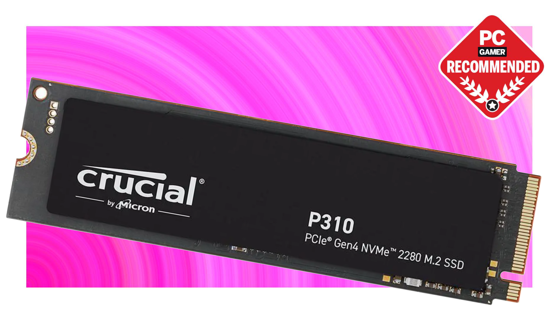 The Crucial P310 (2280) 1TB floats in a void.