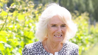 Duchess Camilla of Cornwall holds a vine leaf during a visit to Llanerch Vineyard on July 07, 2021 in Pontyclun, Wales