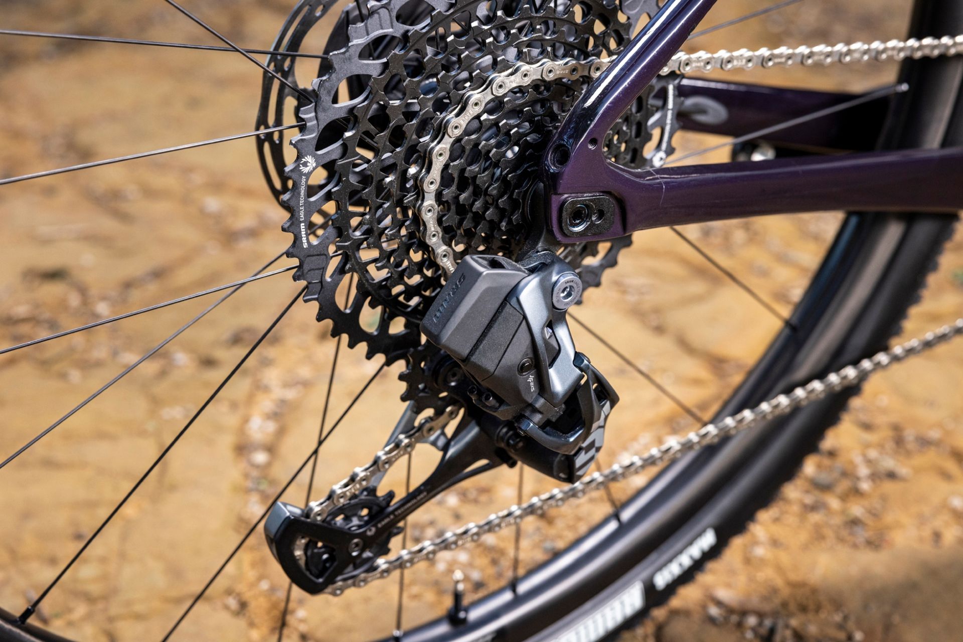 The Giant Revolt X close up of the cassette, reach mech and the connecting flip chip that changes the rear axl position