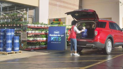 Lowes garden to go kits