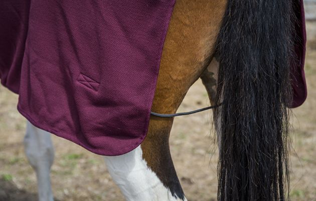 Thermatex Duet Cooler Rug review