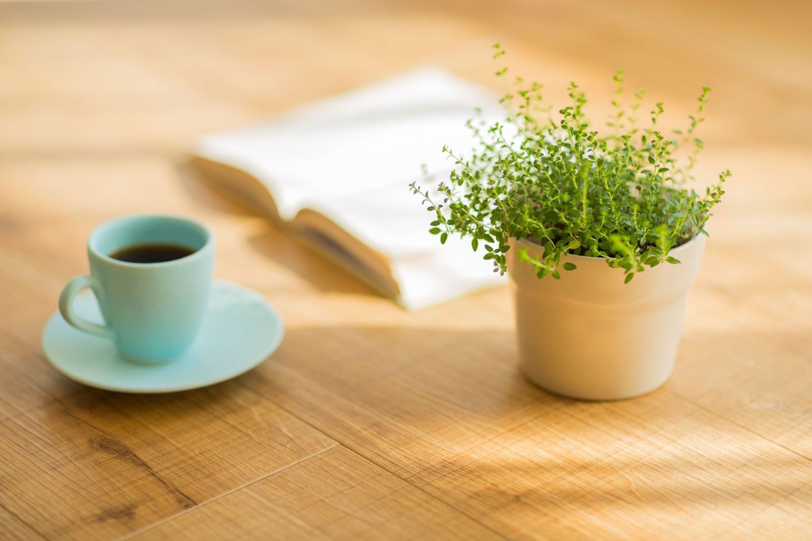 water plants with coffee        
        <figure class=